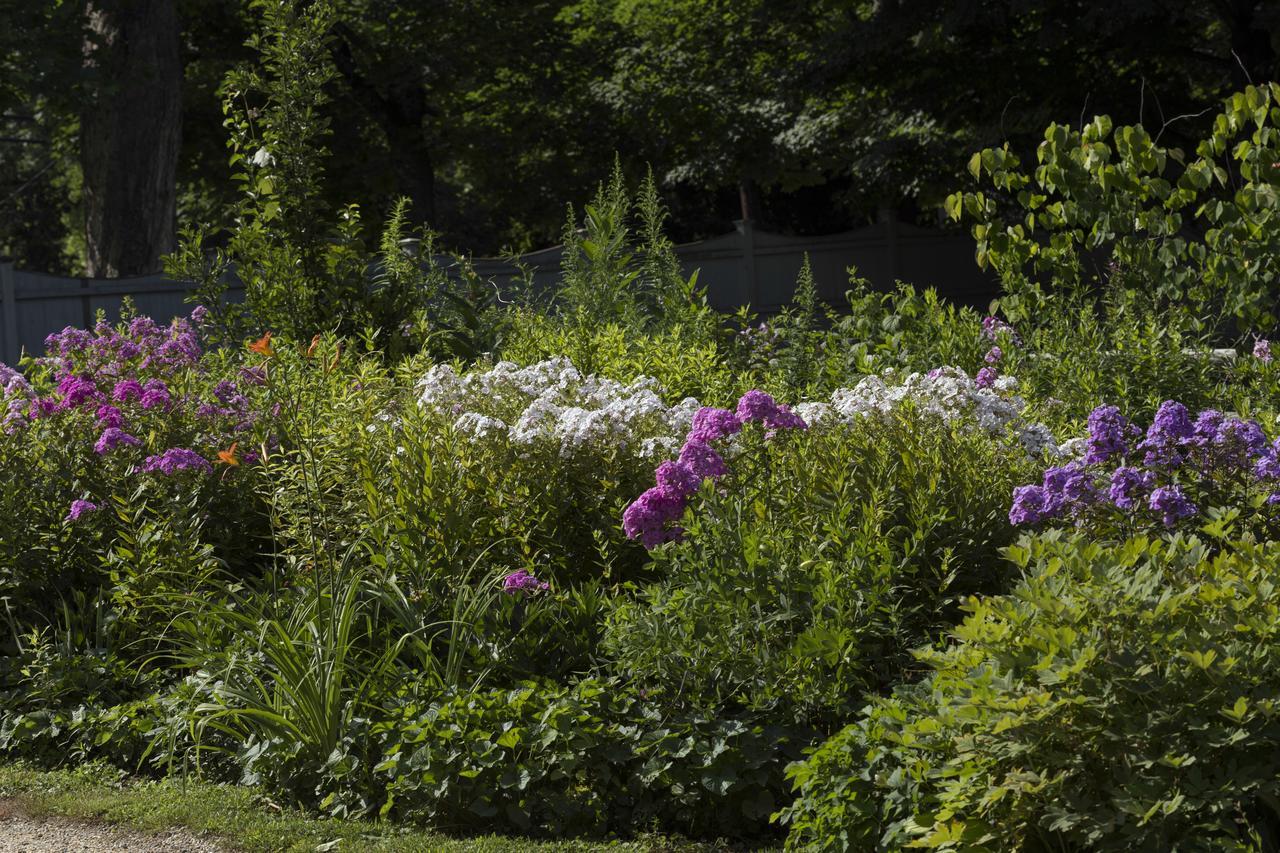 Staveleigh House Bed And Breakfast Sheffield Extérieur photo
